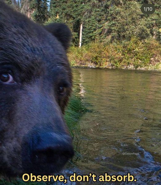 Preview of 58ab9ab5185b-jpg