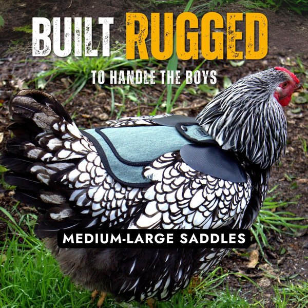 Preview of 6624-jpeg-75d53b993e90444d