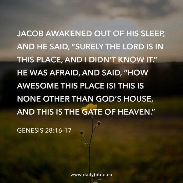 Preview of f8409573740c-jpg