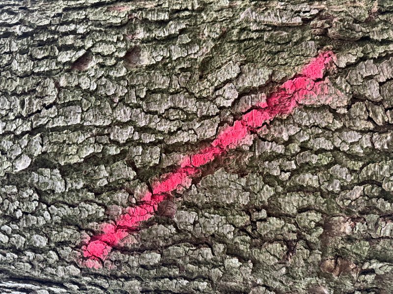 Preview of 0835-jpeg