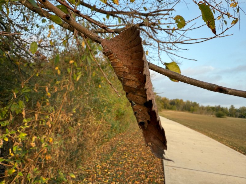 Preview of 6ecc8ab5fc23-jpg