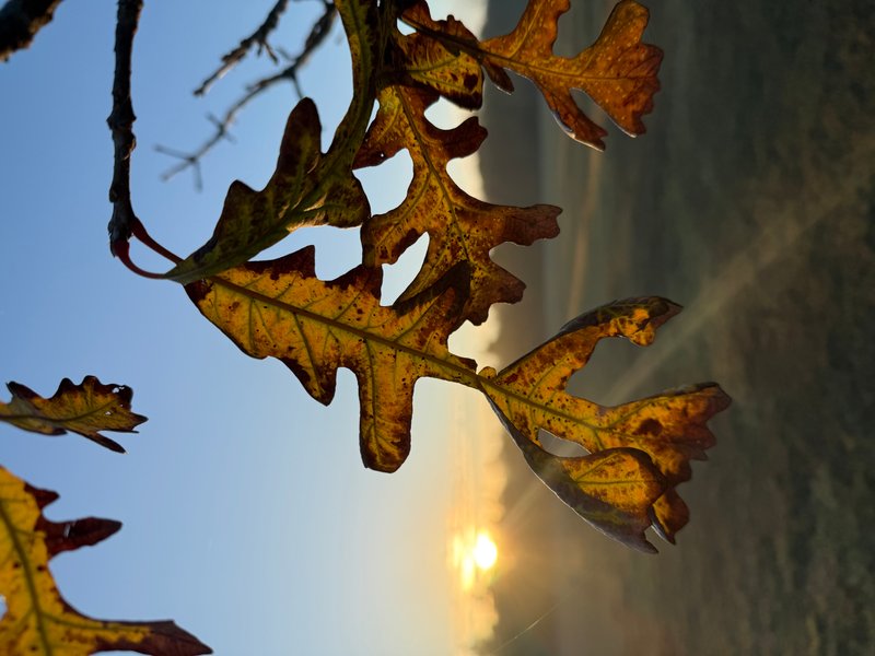 Preview of 63cb864d0551-jpg