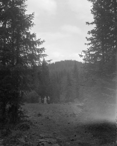 Thumbnail of Image