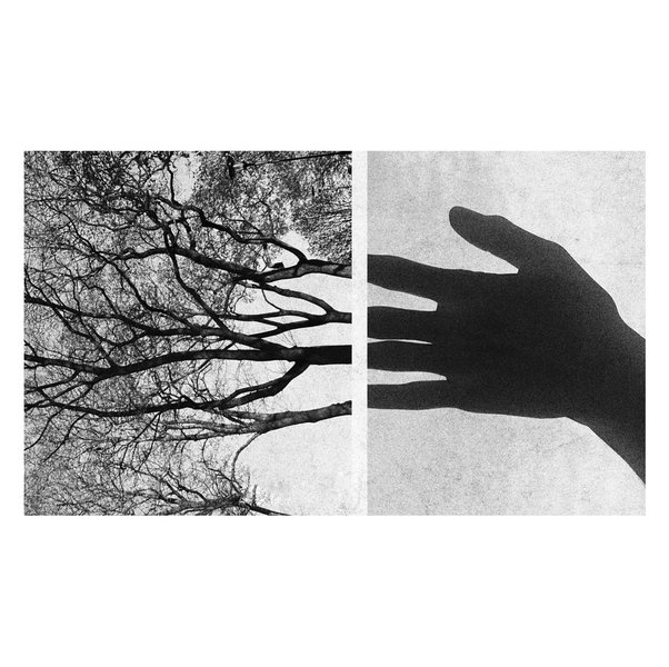 Thumbnail of Image
