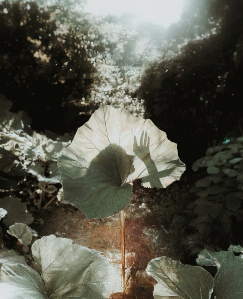 Thumbnail of Image