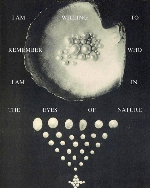 Thumbnail of Image