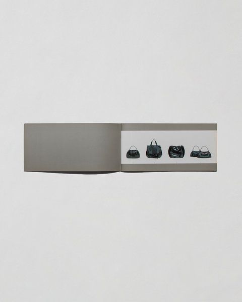Thumbnail of Image