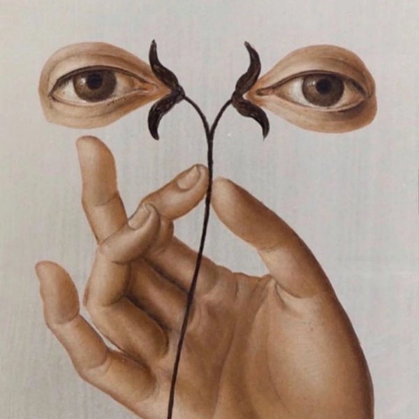 Thumbnail of Image