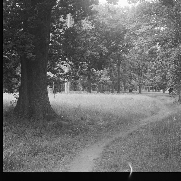 Thumbnail of Image