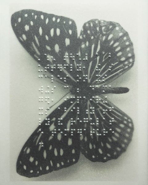 Thumbnail of Image