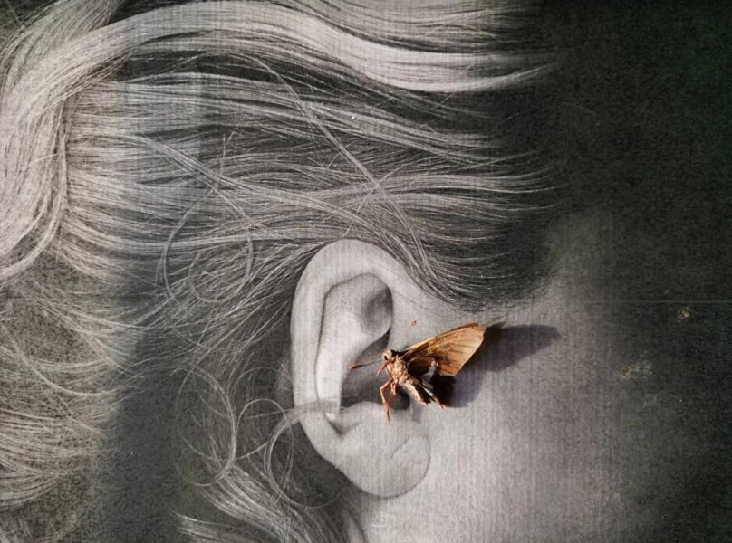 Thumbnail of Image