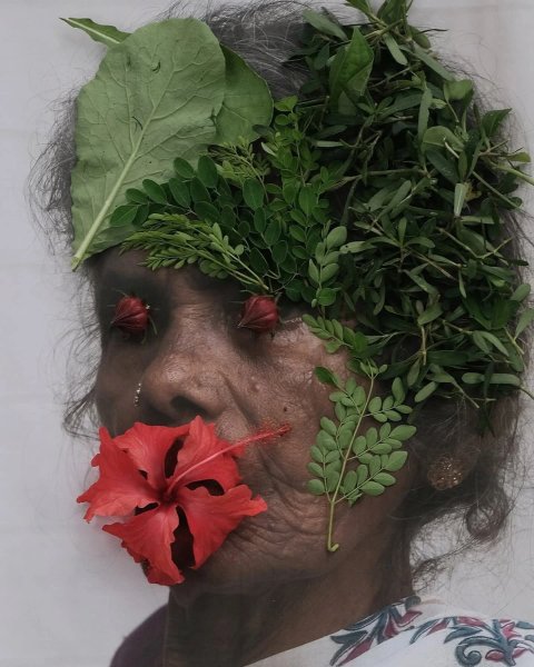 Thumbnail of Image