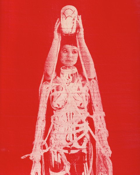 Thumbnail of Image