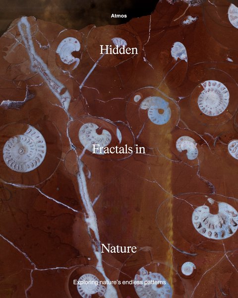 Thumbnail of Image