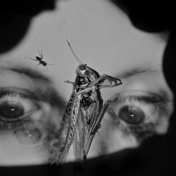 Thumbnail of Image