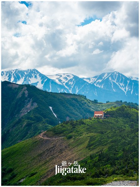 Thumbnail of Image