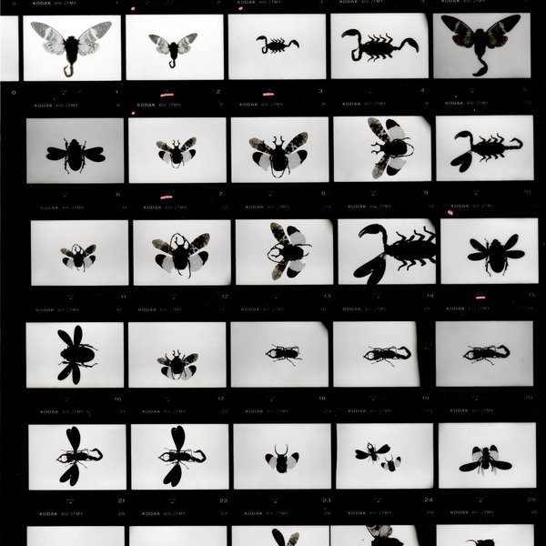 Thumbnail of Image