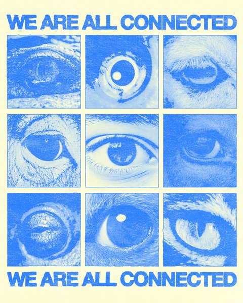 Thumbnail of Image