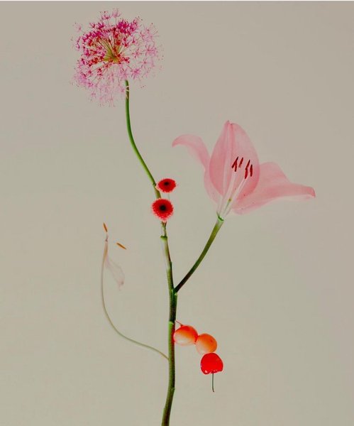 Thumbnail of Image