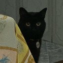 Thumbnail of sic itur ad astra