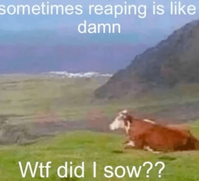 Preview of b28f4066364c-png