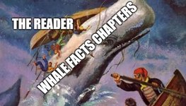 Thumbnail of Your Novel Should Be More Like Moby-Dick