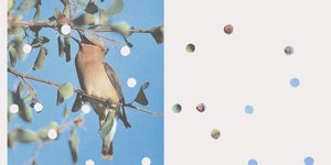 Thumbnail of Escape to the Vortex