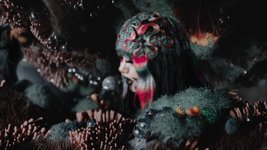 Thumbnail of Bjork — Fossora