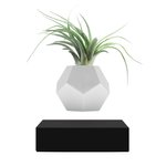 Thumbnail of Lyfe Planter