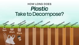 Thumbnail of How Long Does Plastic Take to Decompose?