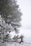 Thumbnail of Japan's 72 Poetic Micro-Seasons — Wherever