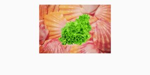 Thumbnail of "TASTE"- what it is, isn't, & how to develop it (or not)