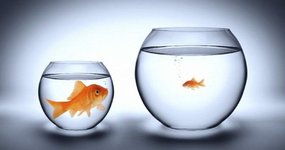 Thumbnail of Rightsizing your product plan, but not your vision