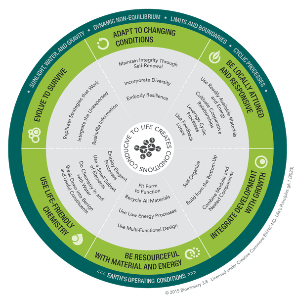 Thumbnail of DesignLens: Life's Principles - Biomimicry 3.8