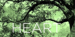 Thumbnail of "The main thing is this—when you get up in the morning you must take your heart in your two hands. You must do this every morning" ~Grace Paley