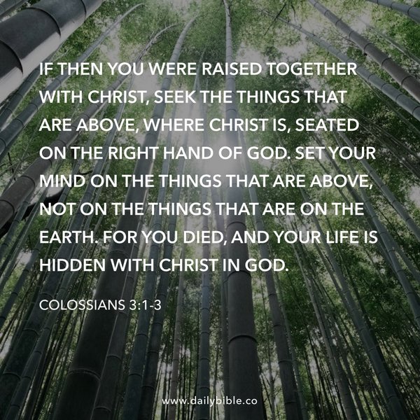 Preview of d14d49ca3b67-jpg