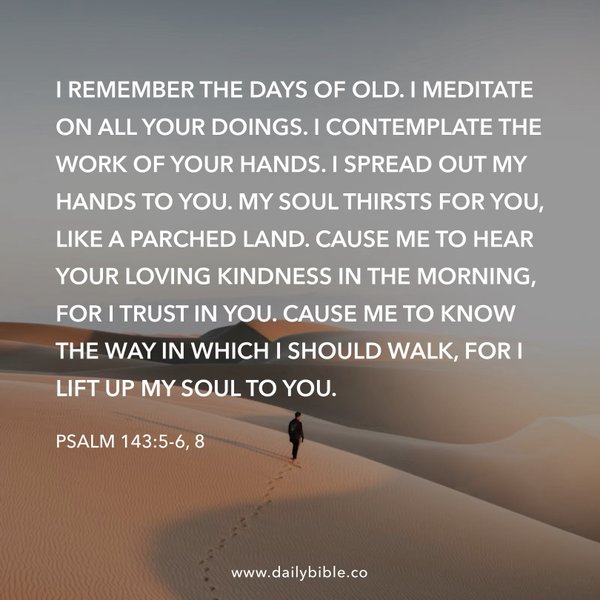 Preview of 249cd84b0c44-jpg