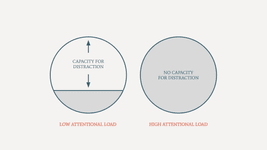 Thumbnail of Intentional Curiosity: Get Your Brain to Focus on What Matters