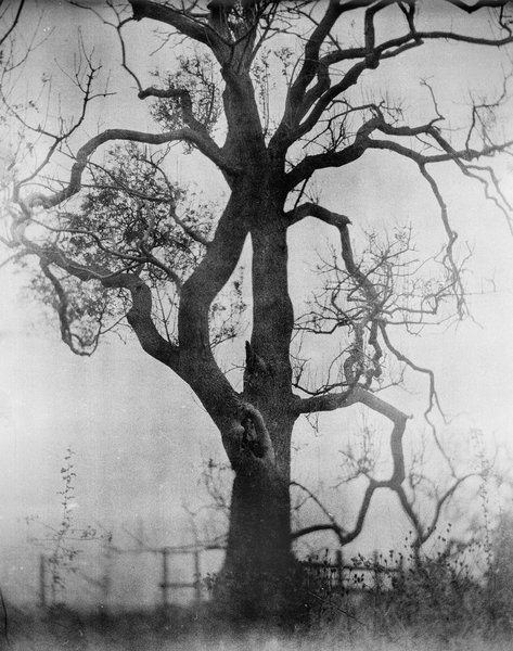 Thumbnail of Home | Substack