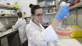 Thumbnail of Las salinas de la provincia de Alicante dan otra esperanza para curar la leucemia