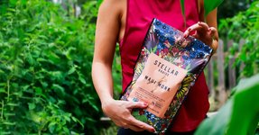 Thumbnail of Pretzel Snacks with Purpose | Healthy Vegan Pretzels | Stellar Snacks