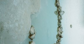 Thumbnail of Remembering Earth Time – A Talk by Emmanuel Vaughan-Lee