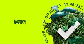 Thumbnail of Sounds Right