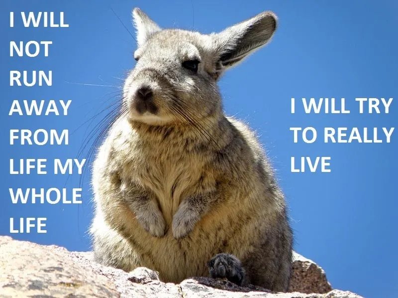 Thumbnail of if have nothing, then how give anything? (help wanted)