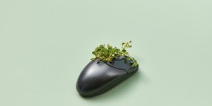 Thumbnail of How to Grow Your Culture by Design Versus by Chance