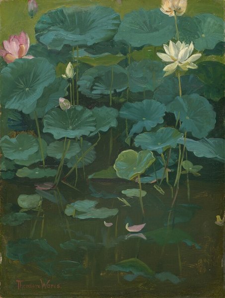 Thumbnail of Buddha's Flowers: Lotus, Tokyo by Theodore Wores