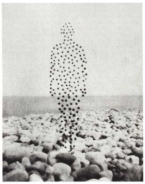 Thumbnail of Image