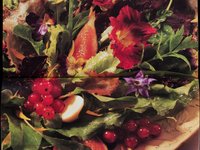 Thumbnail of 1990's - Olga Truchan, food stylist in Toronto, ON, Canada