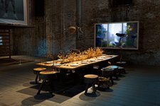 Thumbnail of Refuge for Resurgence - Superflux