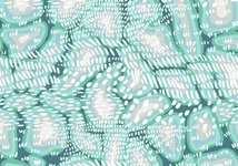 Thumbnail of Mirror Bacteria Research Poses Significant Risks, Dozens of Scientists Warn